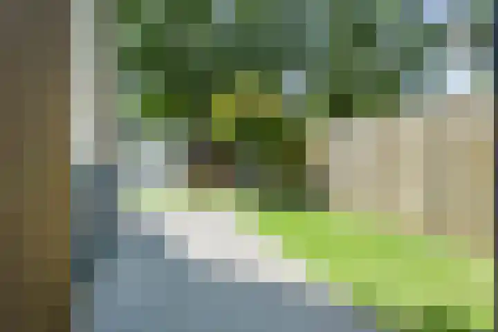 Eerste Donk 191 's-Hertogenbosch thumbnail 18