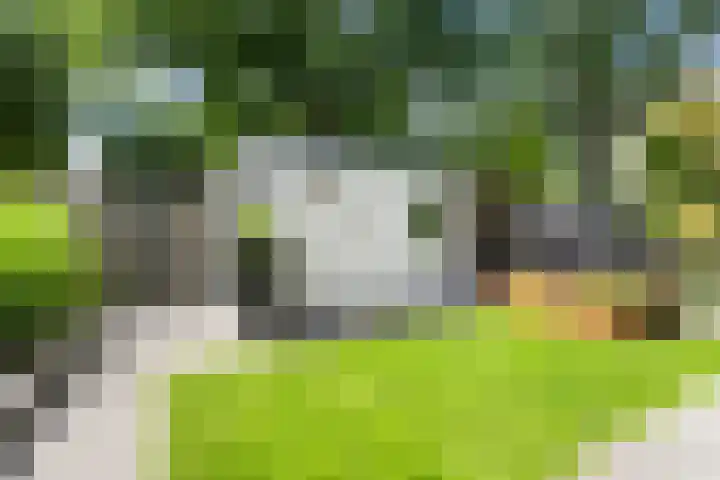 Eerste Donk 191 's-Hertogenbosch thumbnail 19