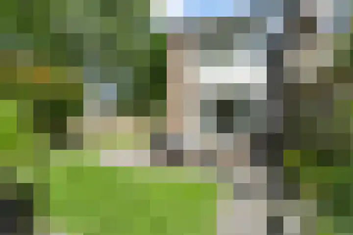 Eerste Donk 191 's-Hertogenbosch thumbnail 21