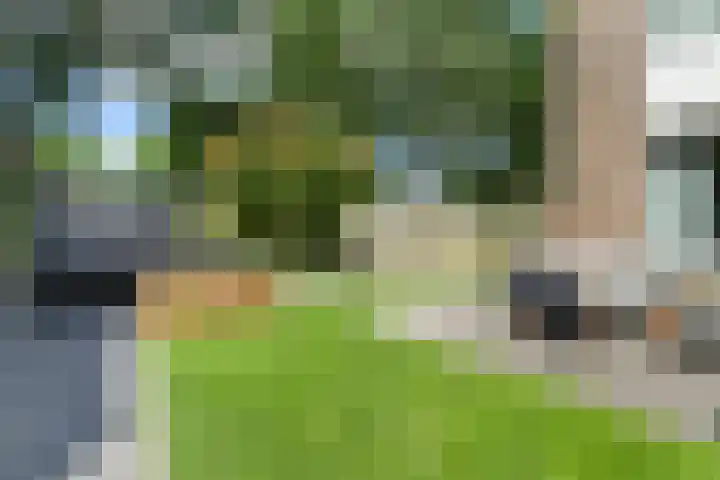 Eerste Donk 191 's-Hertogenbosch thumbnail 22