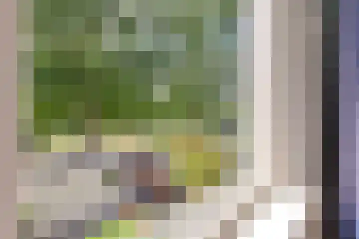 Eerste Donk 191 's-Hertogenbosch thumbnail 28