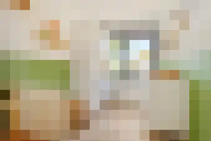 Eerste Donk 191 's-Hertogenbosch thumbnail 31