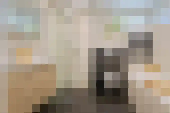 Eerste Donk 191 's-Hertogenbosch thumbnail 32
