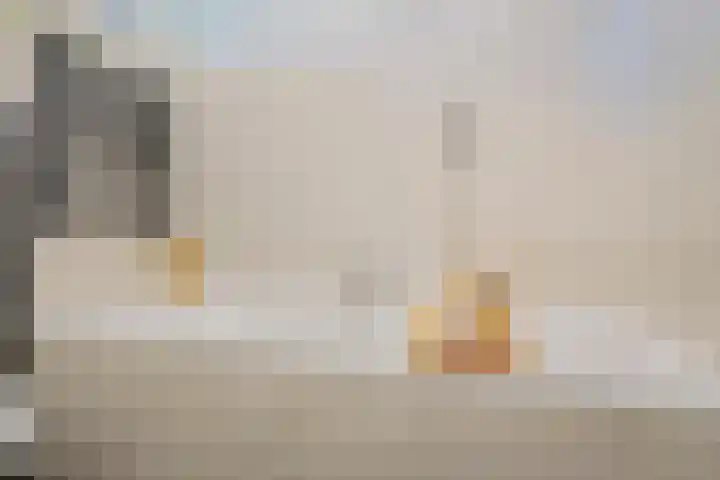 Eerste Donk 191 's-Hertogenbosch thumbnail 33