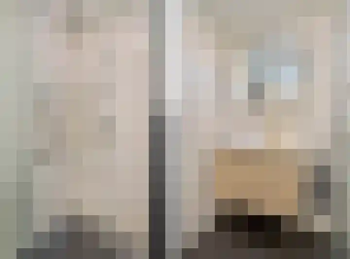Eerste Donk 191 's-Hertogenbosch thumbnail 34