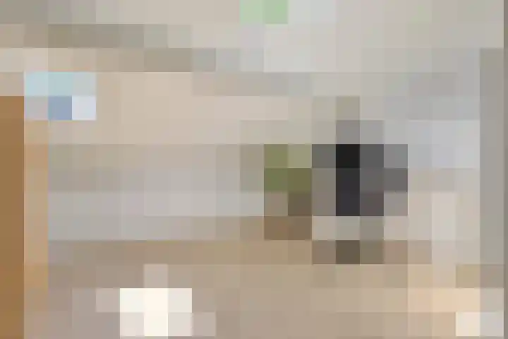 Eerste Donk 191 's-Hertogenbosch thumbnail 35