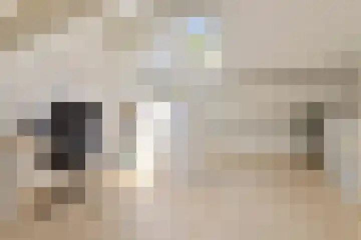 Eerste Donk 191 's-Hertogenbosch thumbnail 36