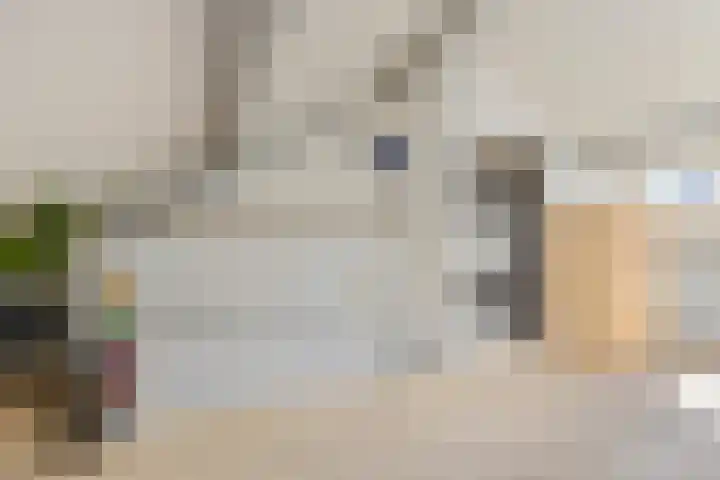 Eerste Donk 191 's-Hertogenbosch thumbnail 38