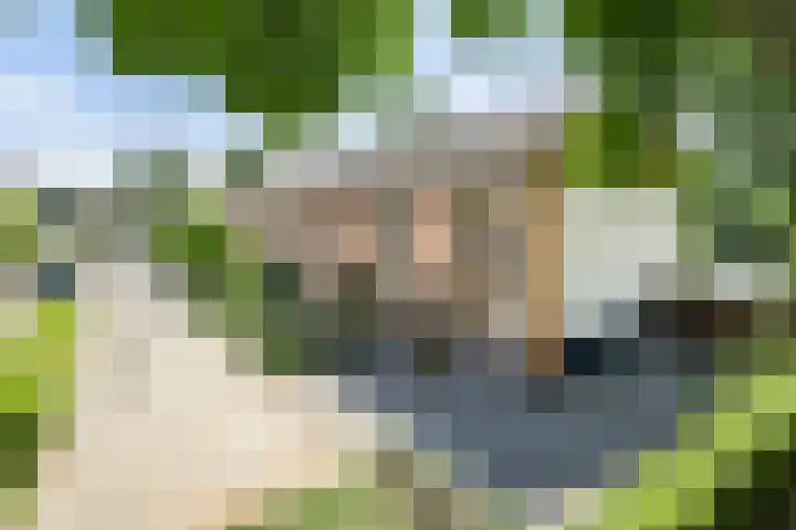 Eerste Donk 191 's-Hertogenbosch thumbnail 40