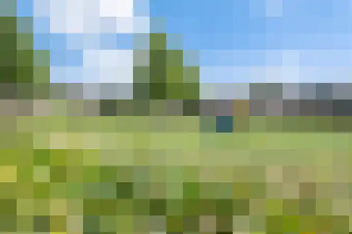 Eerste Donk 191 's-Hertogenbosch thumbnail 42