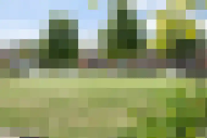 Eerste Donk 191 's-Hertogenbosch thumbnail 43