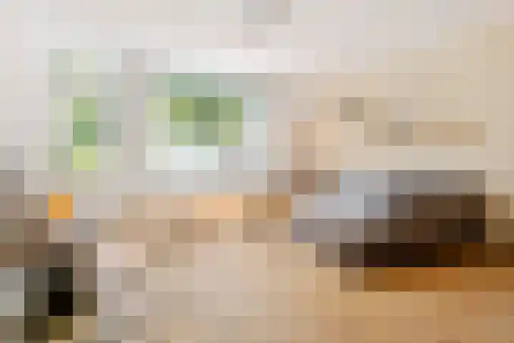 Eerste Donk 191 's-Hertogenbosch thumbnail 6