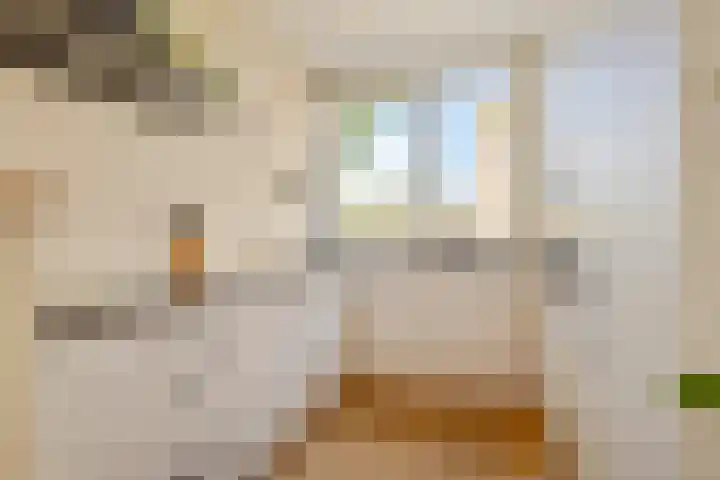 Eerste Donk 191 's-Hertogenbosch thumbnail 8