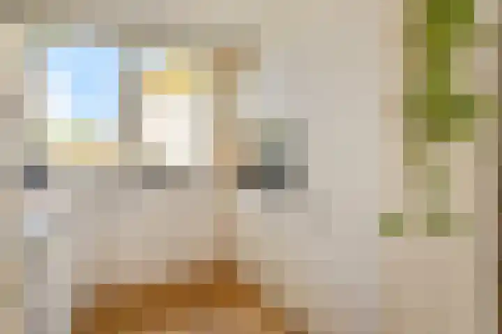 Eerste Donk 191 's-Hertogenbosch thumbnail 9