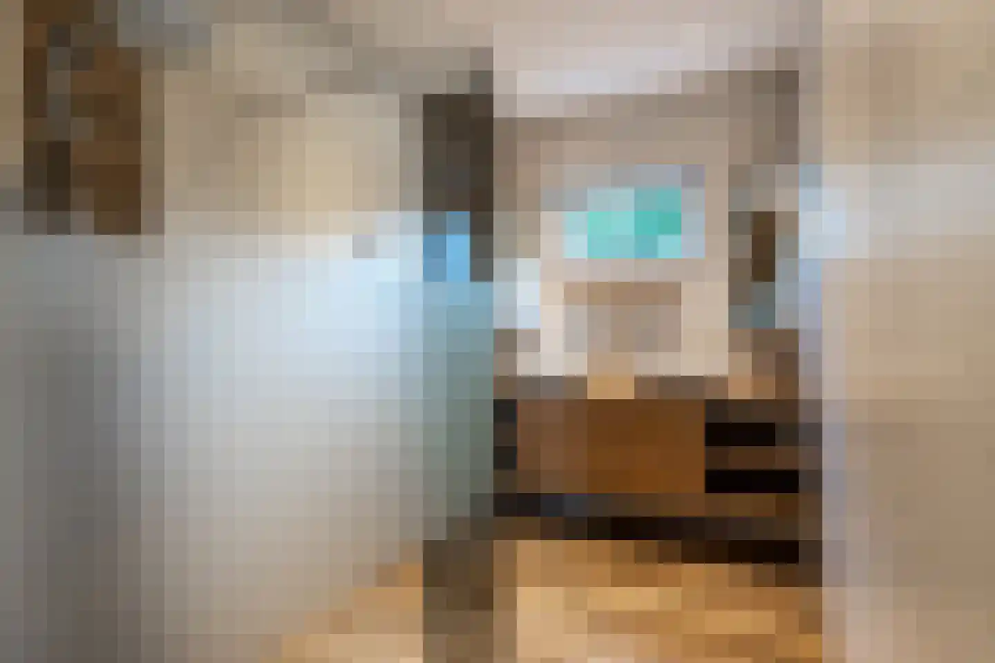 Eerste Dwarsdiep 15 Gasselternijveenschemond thumbnail 15