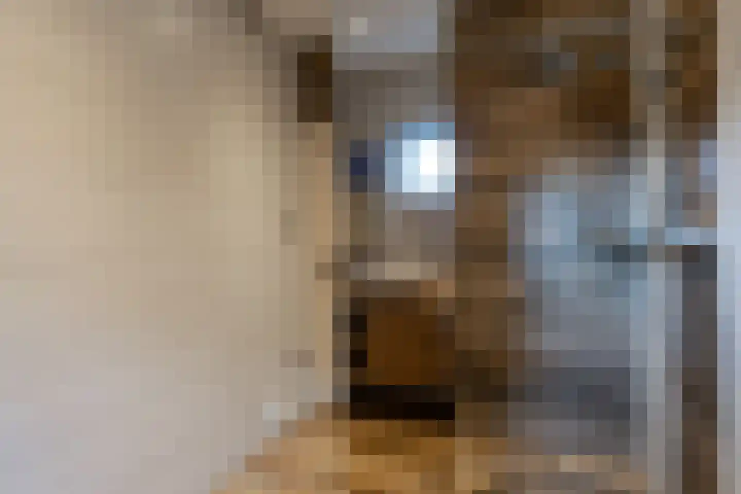 Eerste Dwarsdiep 15 Gasselternijveenschemond thumbnail 16