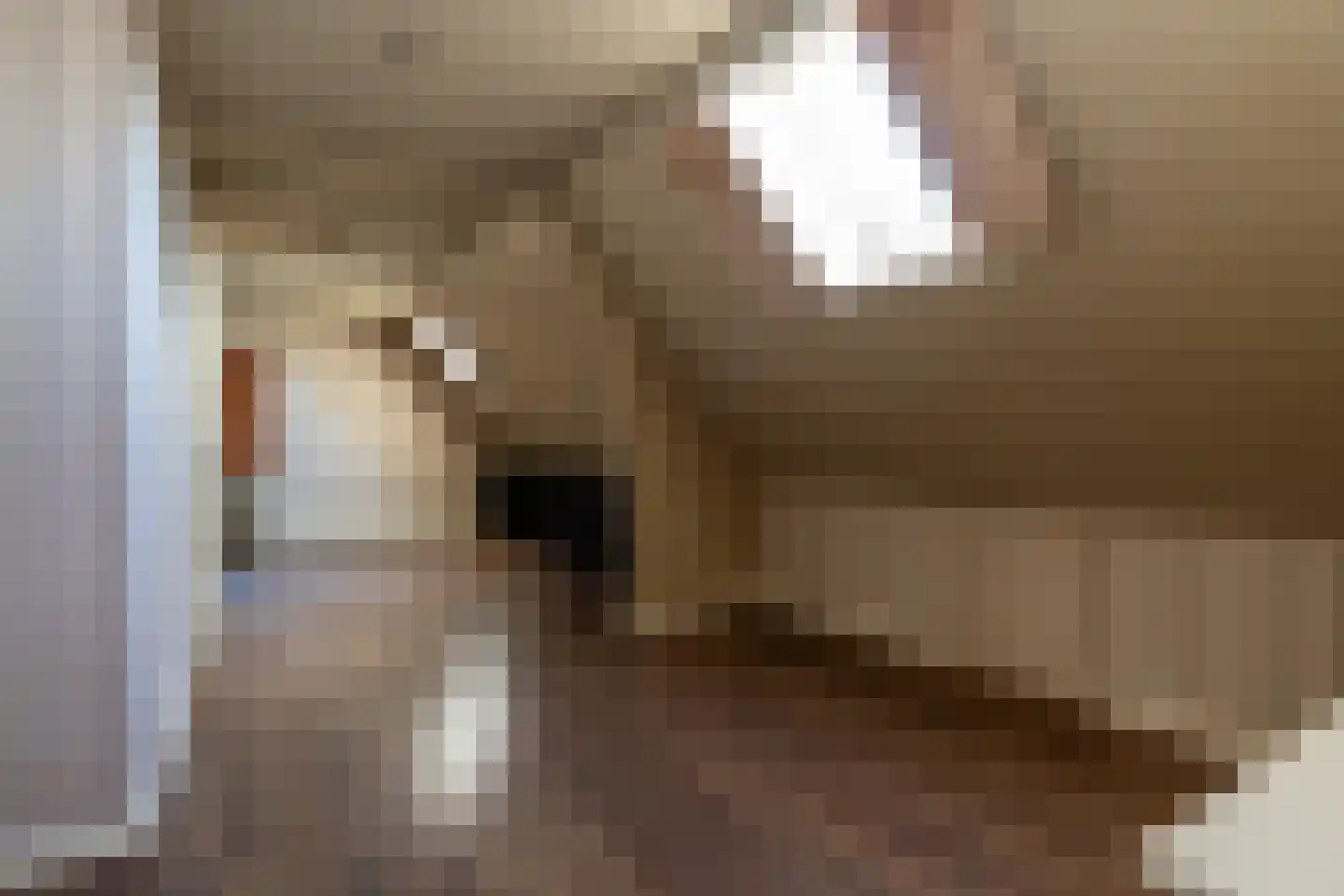 Eerste Dwarsdiep 15 Gasselternijveenschemond thumbnail 22