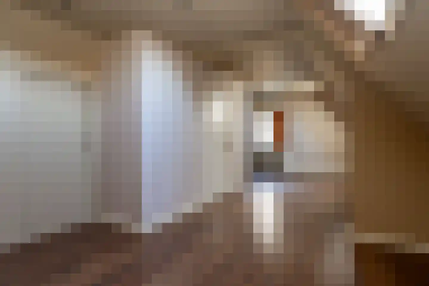 Eerste Dwarsdiep 15 Gasselternijveenschemond thumbnail 23