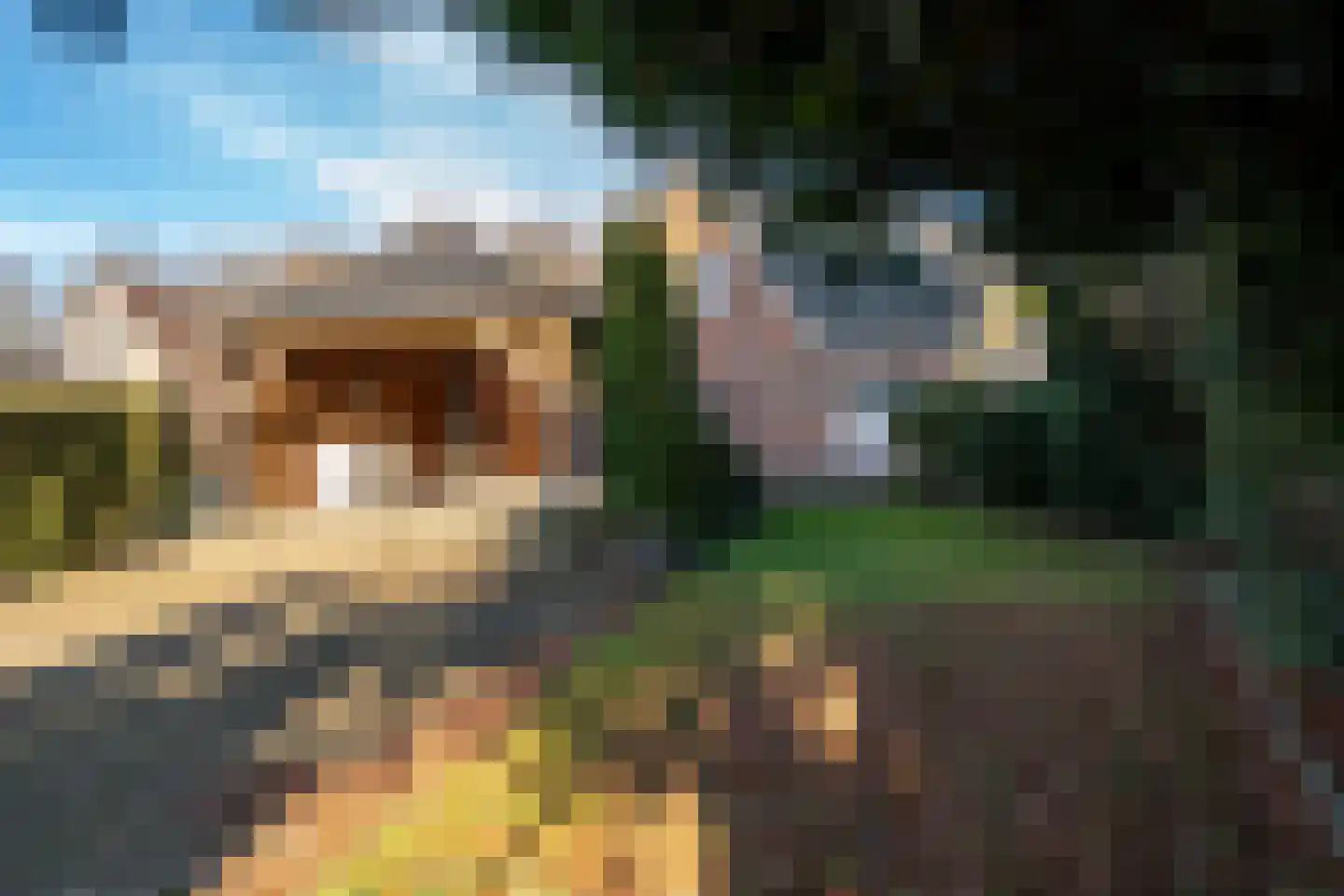Eerste Dwarsdiep 15 Gasselternijveenschemond thumbnail 35