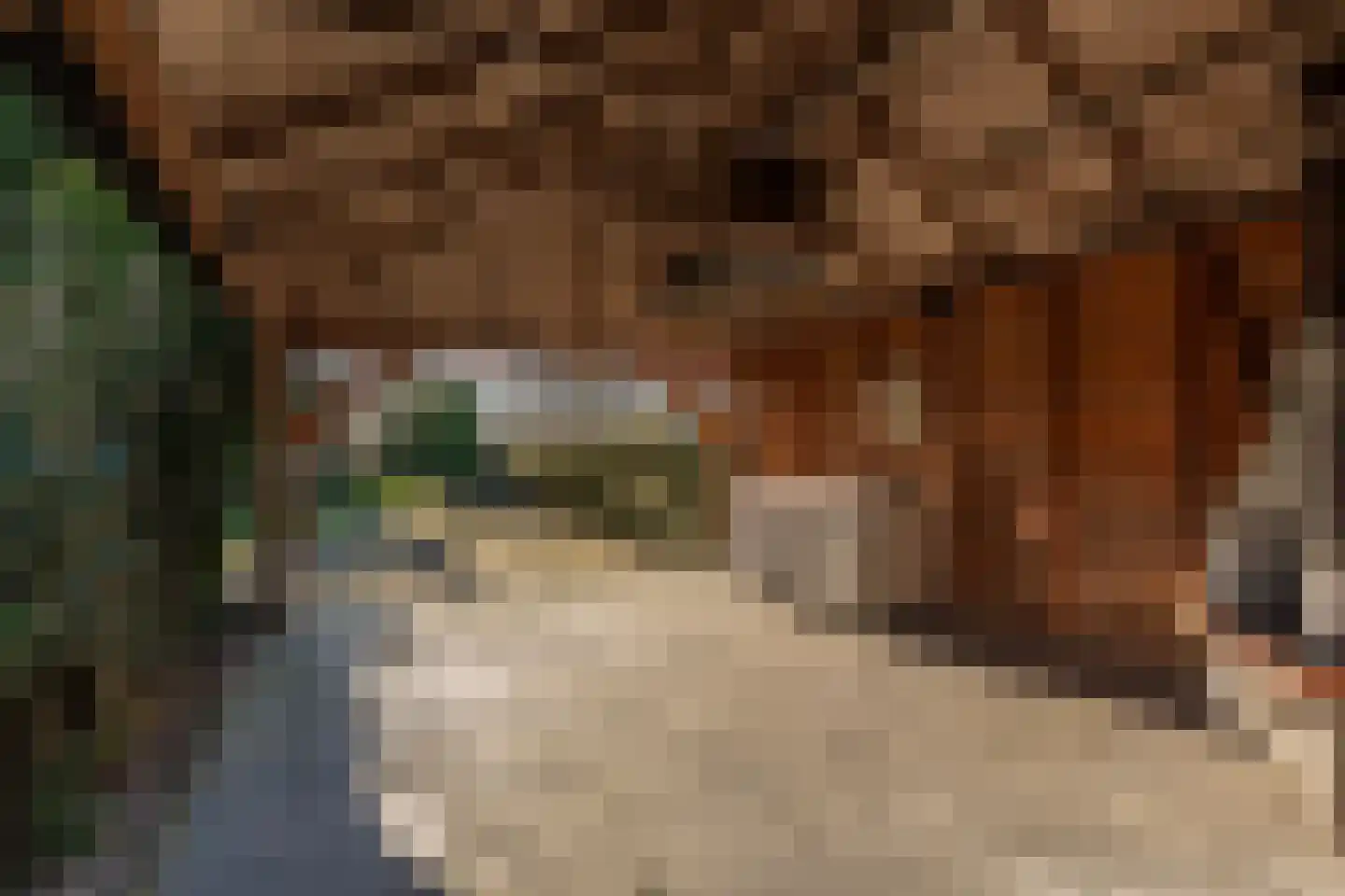 Eerste Dwarsdiep 15 Gasselternijveenschemond thumbnail 41