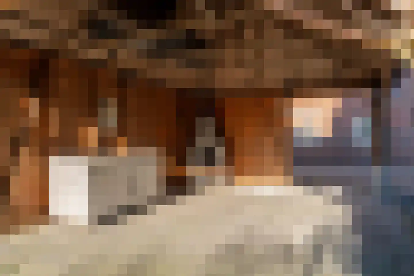 Eerste Dwarsdiep 15 Gasselternijveenschemond thumbnail 42