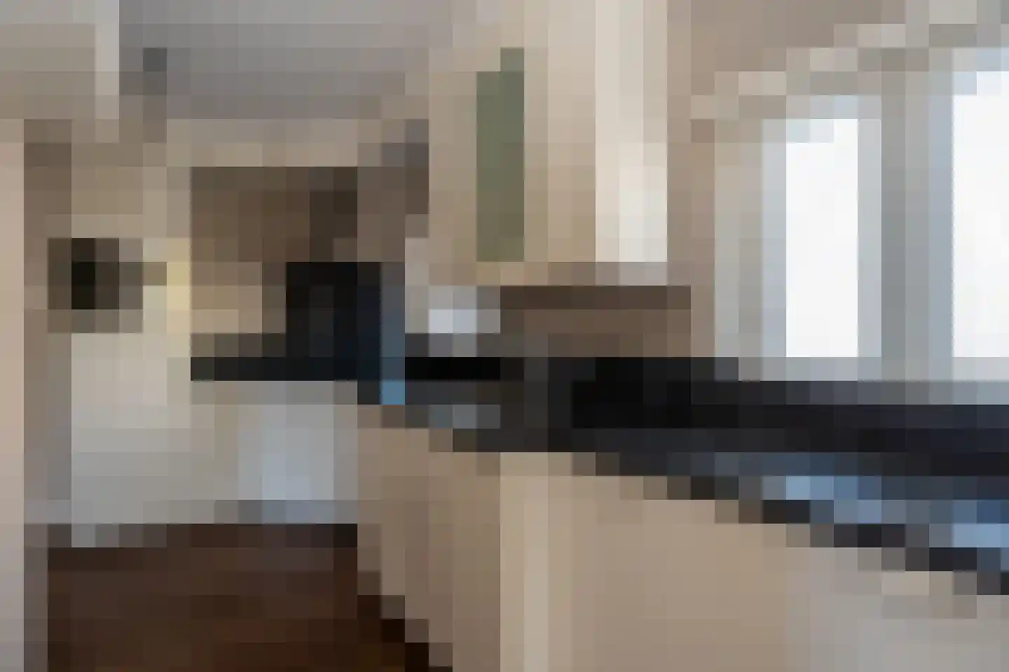 Eerste Dwarsdiep 15 Gasselternijveenschemond thumbnail 7