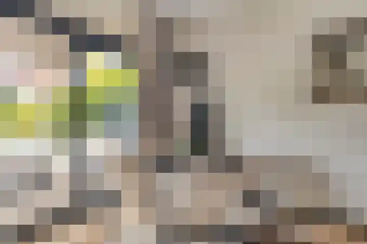 Eerste E.J. Potgieterstraat 25 Gouda thumbnail 14