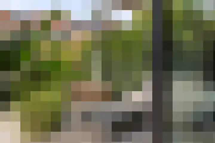 Eerste E.J. Potgieterstraat 25 Gouda thumbnail 15