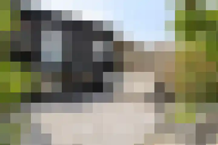 Eerste E.J. Potgieterstraat 25 Gouda thumbnail 17