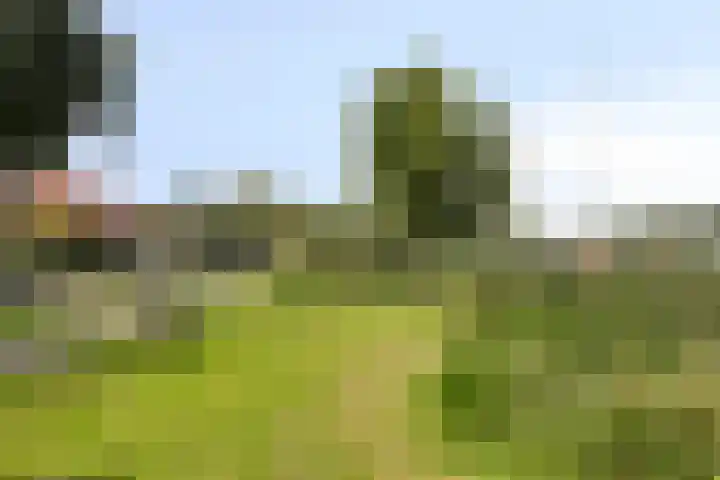 Eerste E.J. Potgieterstraat 25 Gouda thumbnail 30