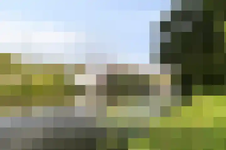 Eerste E.J. Potgieterstraat 25 Gouda thumbnail 31