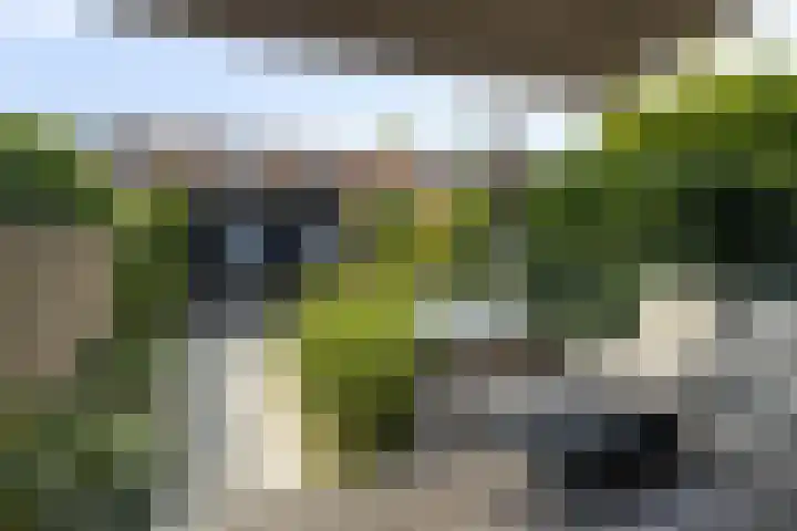 Eerste E.J. Potgieterstraat 25 Gouda thumbnail 5
