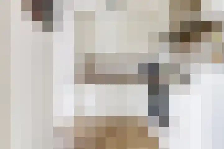 Eerste E.J. Potgieterstraat 35 Gouda thumbnail 15