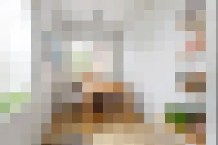Eerste E.J. Potgieterstraat 35 Gouda thumbnail 17