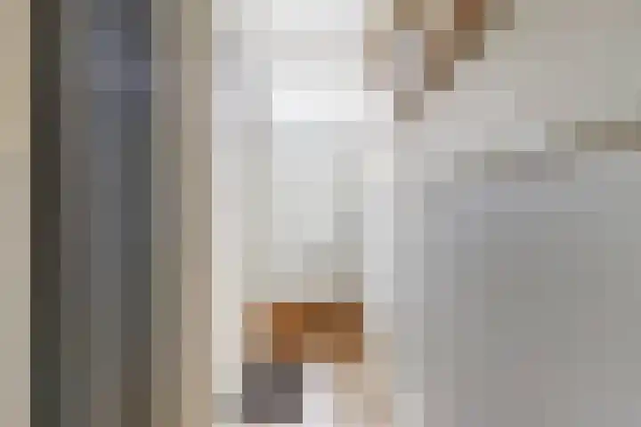 Eerste E.J. Potgieterstraat 35 Gouda thumbnail 5