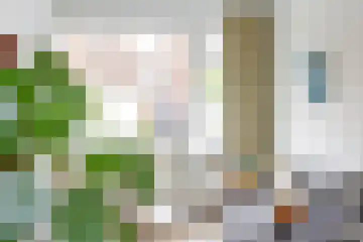 Eerste E.J. Potgieterstraat 35 Gouda thumbnail 9