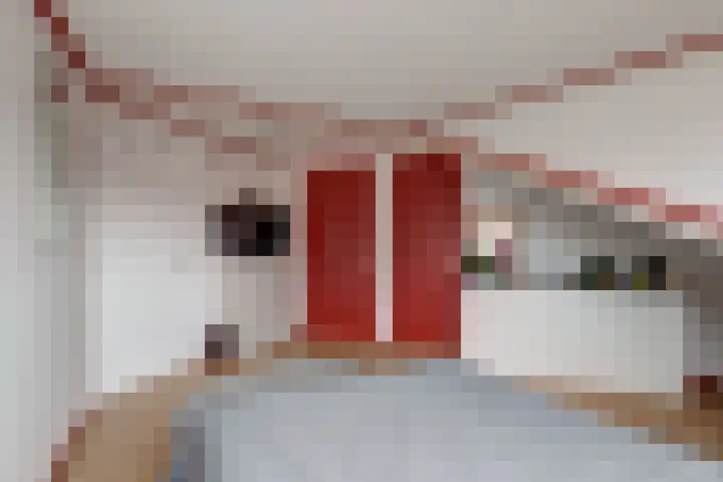 Eerste E.J. Potgieterstraat 36 Gouda thumbnail 20