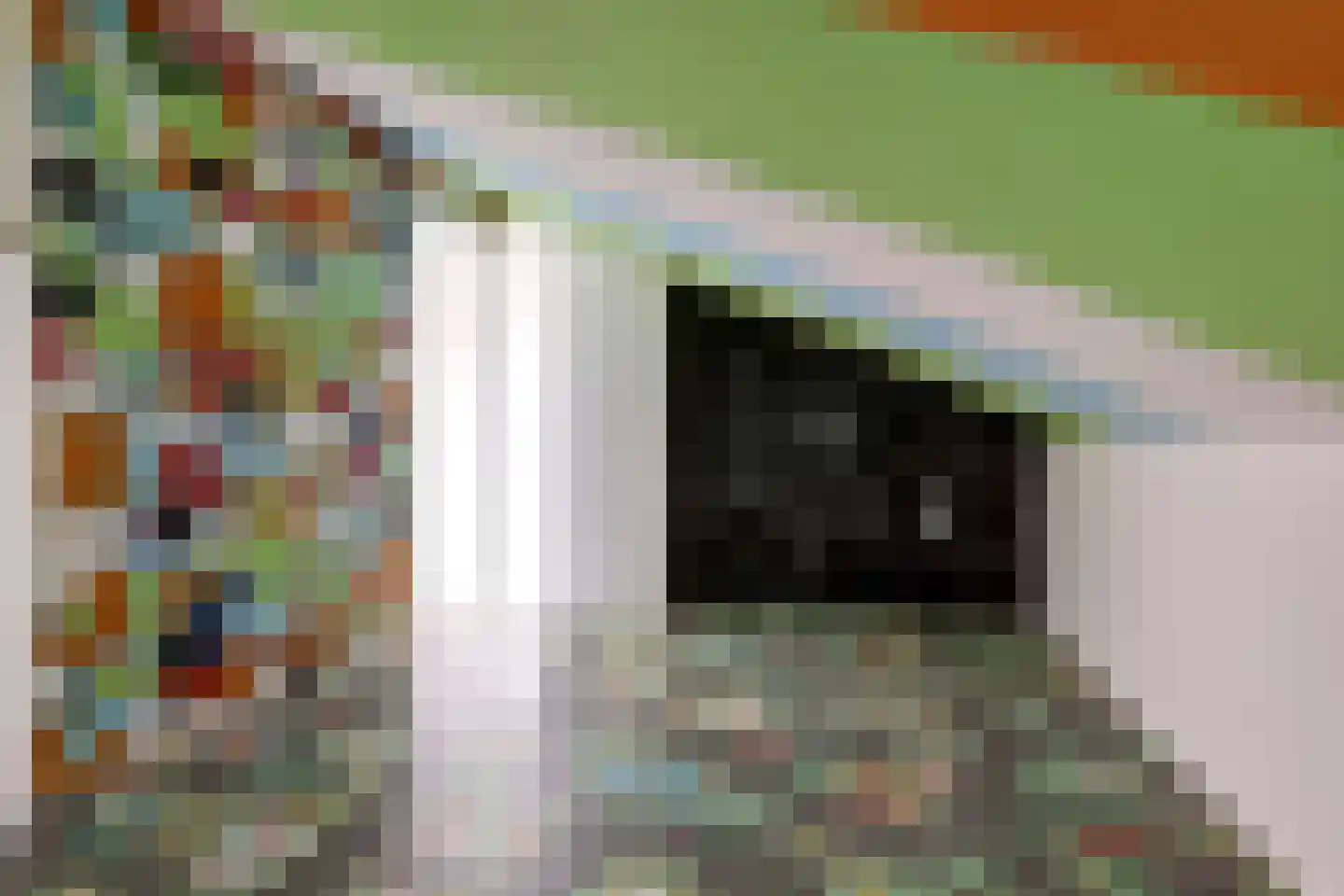 Eerste E.J. Potgieterstraat 36 Gouda thumbnail 22
