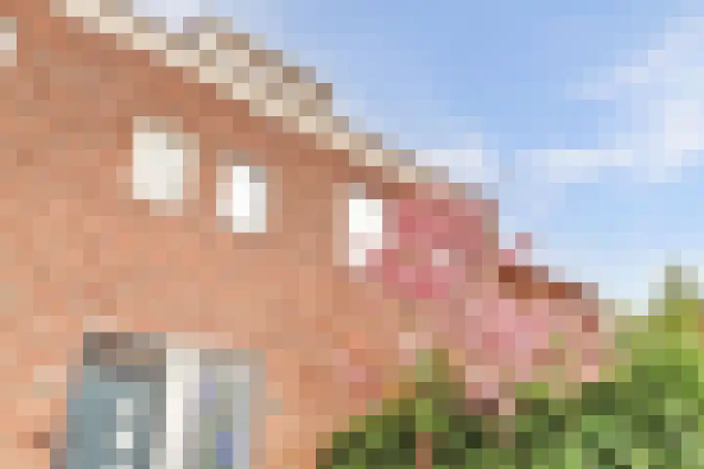 Eerste E.J. Potgieterstraat 36 Gouda thumbnail 6