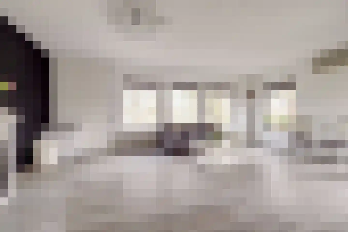 Eerste E.J. Potgieterstraat 36 Gouda thumbnail 8