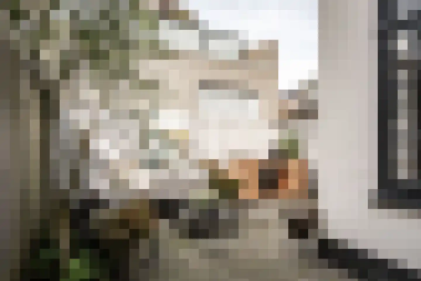 Eerste Emmastraat 10 Haarlem thumbnail 28