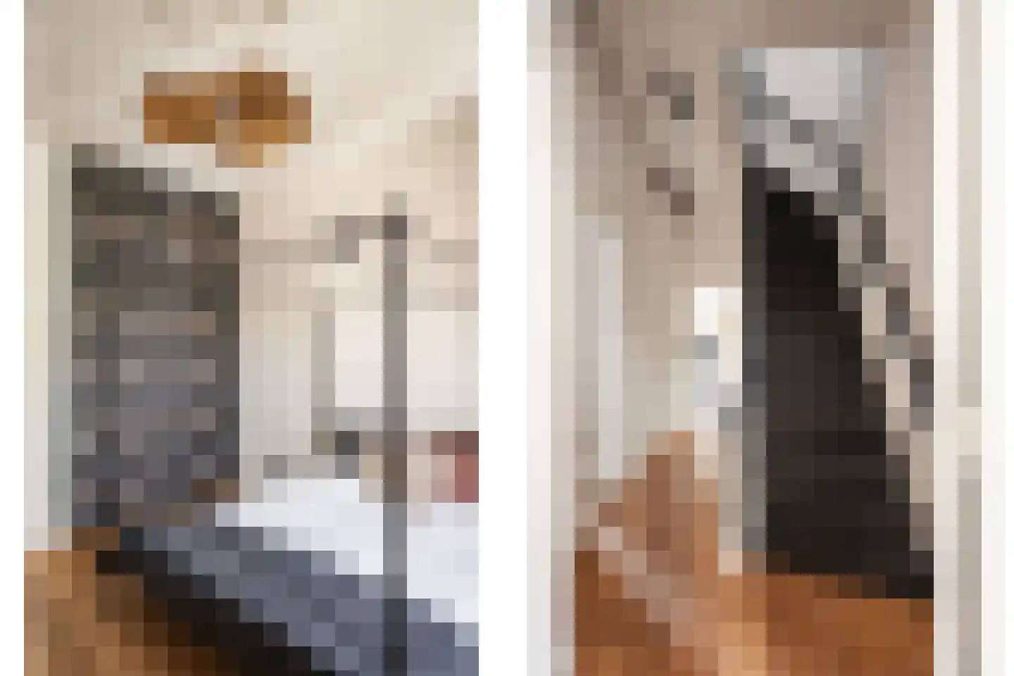 Eerste Emmastraat 10 Haarlem thumbnail 39