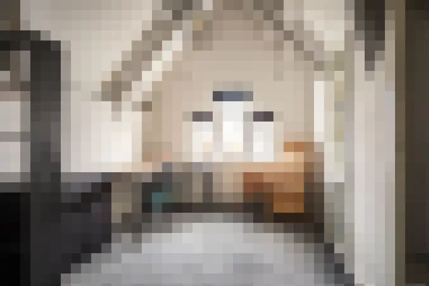 Eerste Emmastraat 10 Haarlem thumbnail 54