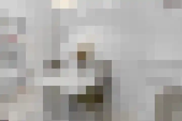 Eerste Goudsbloemdwarsstraat 1 A Amsterdam thumbnail 10