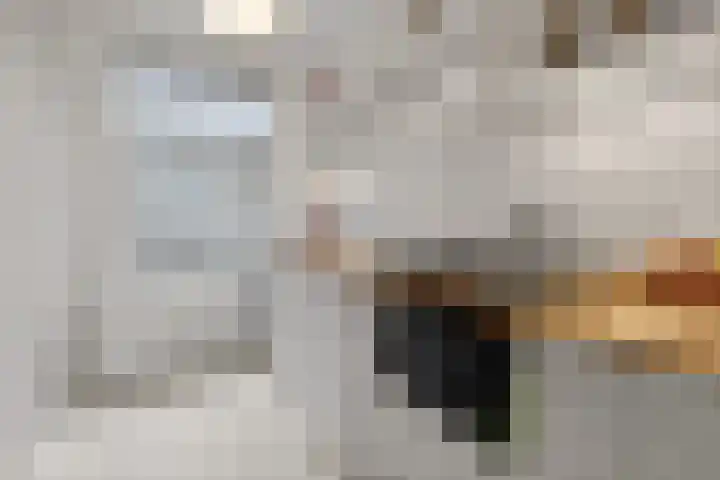Eerste Goudsbloemdwarsstraat 1 A Amsterdam thumbnail 13