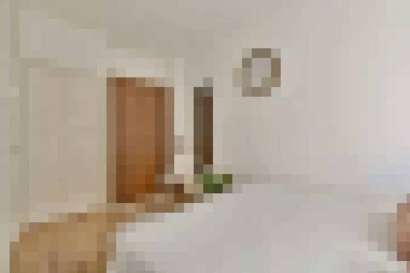 Eerste Goudsbloemdwarsstraat 1 B Amsterdam thumbnail 16