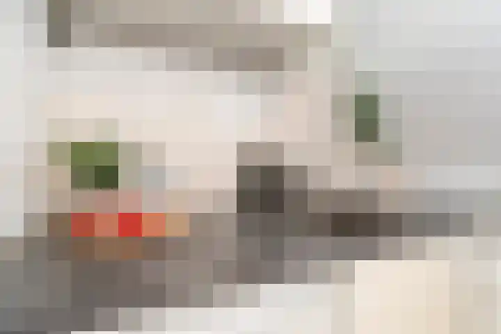 Eerste Goudsbloemdwarsstraat 11 1 Amsterdam thumbnail 10