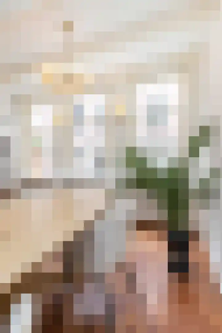 Eerste Goudsbloemdwarsstraat 11 1 Amsterdam thumbnail 14