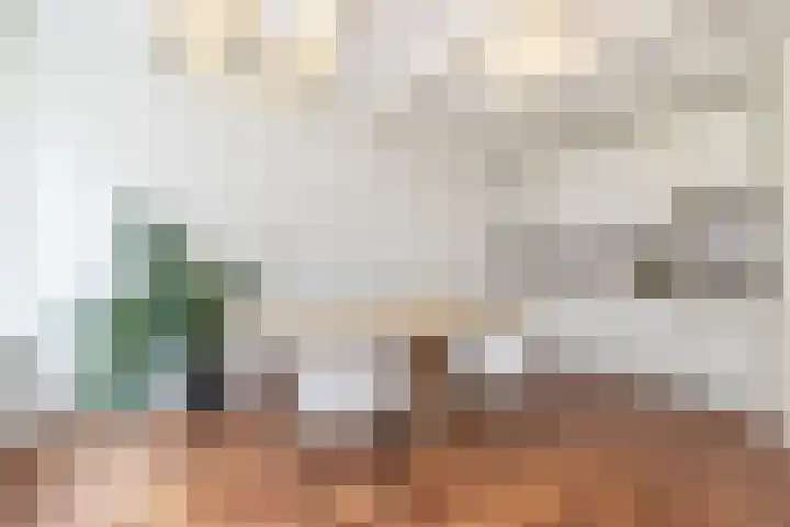 Eerste Goudsbloemdwarsstraat 11 1 Amsterdam thumbnail 15