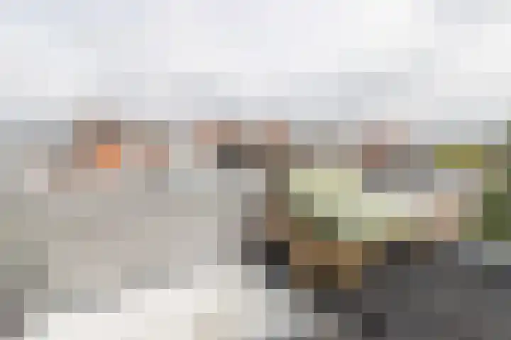 Eerste Goudsbloemdwarsstraat 11 1 Amsterdam thumbnail 24